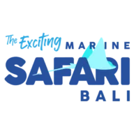 Marine Safari Bali logo