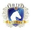 Ubud Horse Stables logo